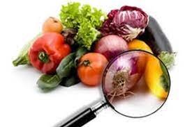 [51299] 2022-1 - Técnico em Alimentos - Análise de Alimentos