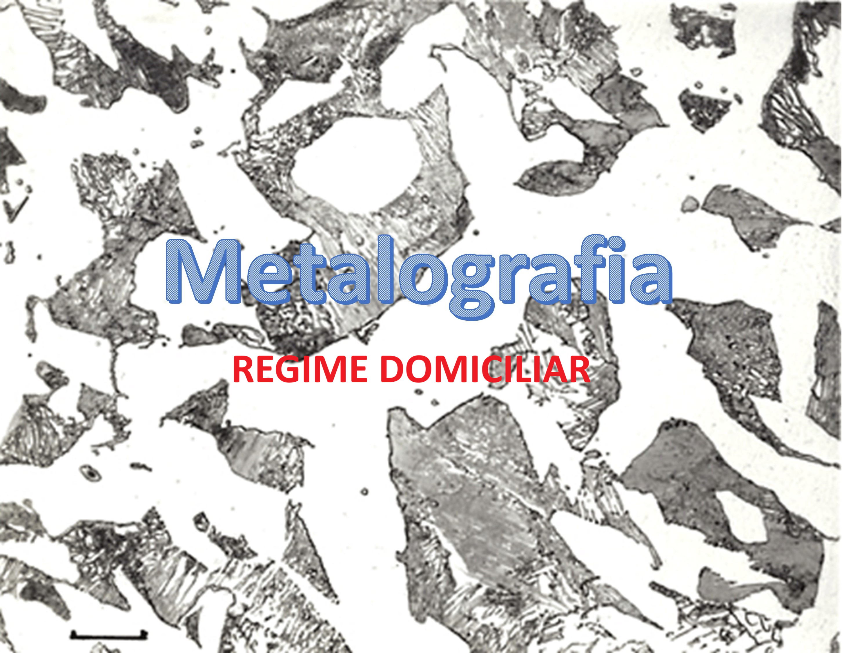2025.2 - Metalografia - RD