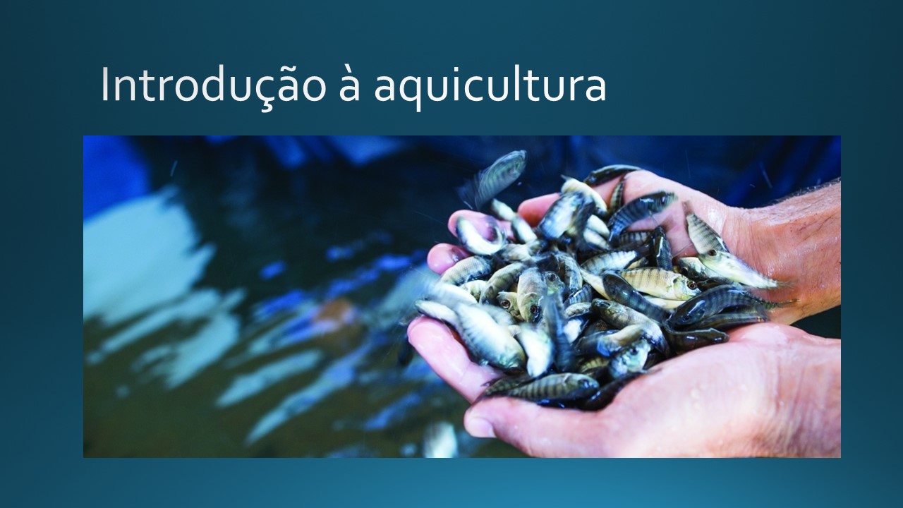 [46610] 2021-2 - Engenharia de Pesca - Introdução à Aquicultura