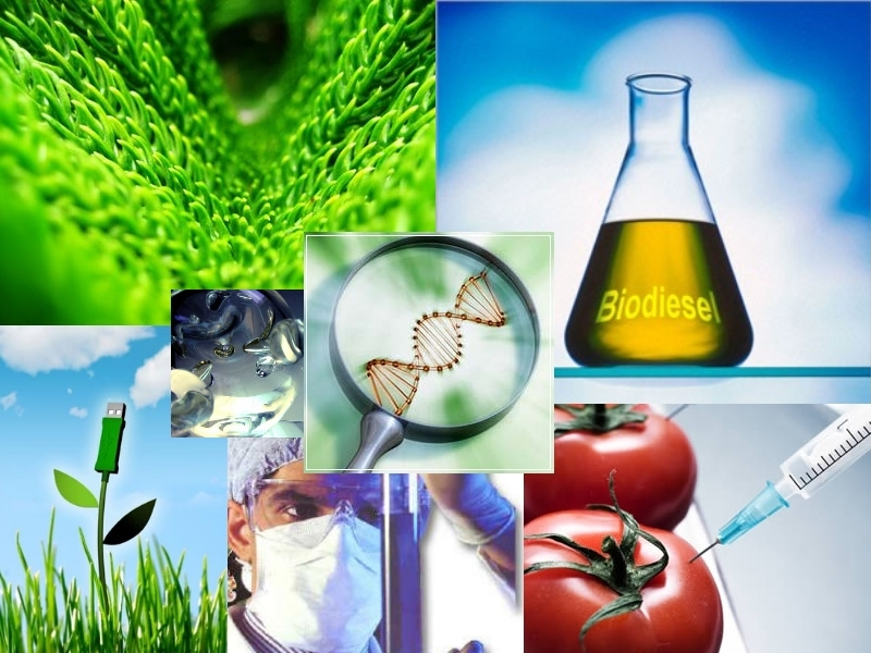 20810 [47048] 2021-2 - Técnico em Alimentos - Biotecnologia