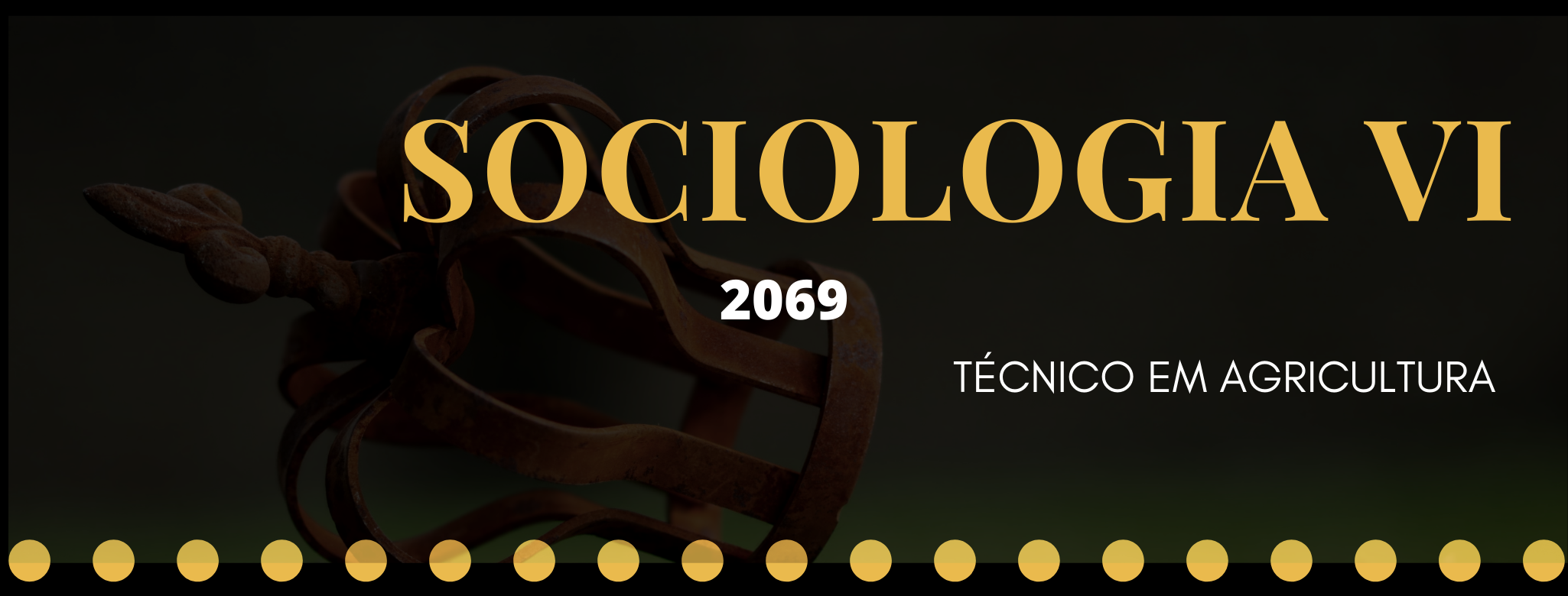SOCIOLOGIA 6 - 2069