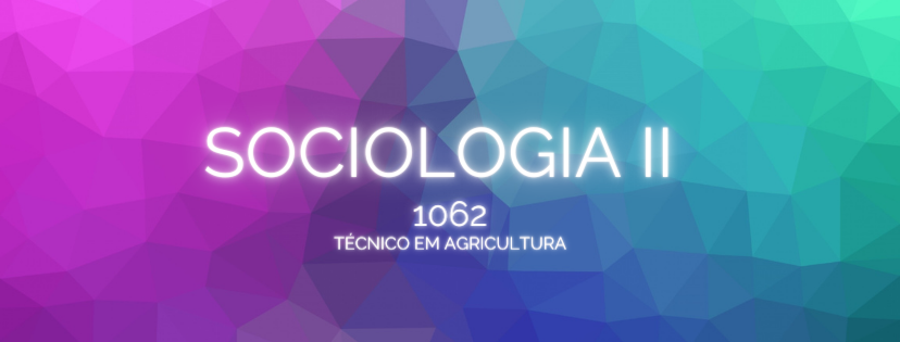 SOCIOLOGIA 2 - 1062